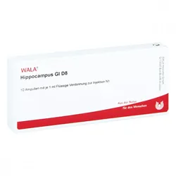 Hippocampus Gl D8 Ampullen
