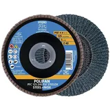 Pferd Fächerschleifscheibe Z 80PSF gerade 125mm K80