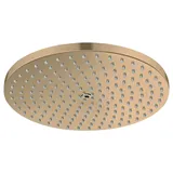 Hansgrohe Raindance S Kopfbrause 28821140,