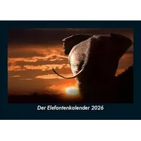 Vero Kalender Der Elefantenkalender 2026 Fotokalender DIN A5 von