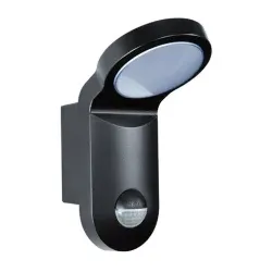 Esylux AOL 100 LED 3K, Wandbeleuchtung für den Außenbereich, Schwarz, Aluminium,