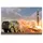I Love Kit M1001 - MAN mit M790 Erector Launcher schwarz/weiß 1:35