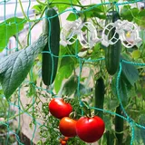 Vogelschutznetz, Vogelnetz, Ranknetz für Kletterpflanzen 1.8x5M, Pflanzennetz Rankhilfen Gurkennetz, Rankgitter für Gurken, Gurken-Tomaten-Kletterpflanzennetz - Mit 100 Stück Pflanzenklammern