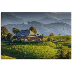 Artland Wandbild »Bauernhof bei St.Peter Schwarzwald«, Berge & Alpenbilder, (1 St.), als Leinwandbild, Poster in verschied. Größen Artland Farbe Bild(er): grün