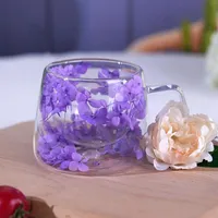 Richaa Getrocknete Blumen Doppelwandige Gläser mit Griff 200ml Latte Macchiato Gläser Cappuccino Tassen Kaffeetassen Mug Originelle Geschenke Coffee Glasses