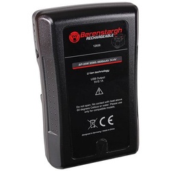 Berenstargh Akku Sony BP-95W, 6600mAh, 14,8V, USB-Output