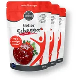 borchers 3 x Premium Gelierhilfe mit Birkenzucker Xylit 0.9 kg (18,66 EUR/kg)