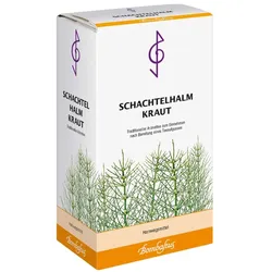 Schachtelhalmkraut Tee
