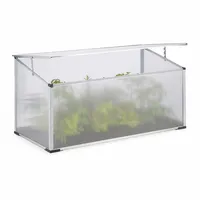 Relaxdays Frühbeet 1 x 0,5 x 0,5 m transparent