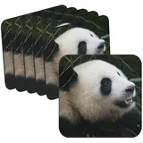 Untersetzer aus Kork, für Babys, Panda, Wildleben, Tiere, 6 Stück (95 x 95 mm)