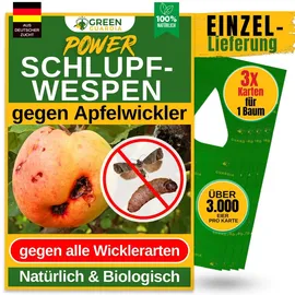 green guardia Schlupfwespen gegen Apfelwickler Pheromonfalle 3 Karten