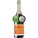 Oberrotweiler Muskateller Sekt extra trocken – Gault & Millau 2020 – Klassische Flaschengärung, fruchtig & aromatisch mit Akazienblüten & reifen Früchten, Badischer Winzersekt (1 x 0,75l)