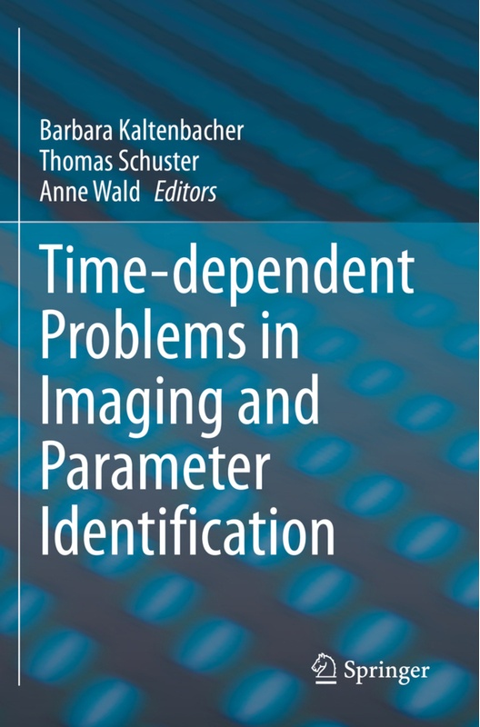 Time-Dependent Problems In Imaging And Parameter Identification, Kartoniert (TB)