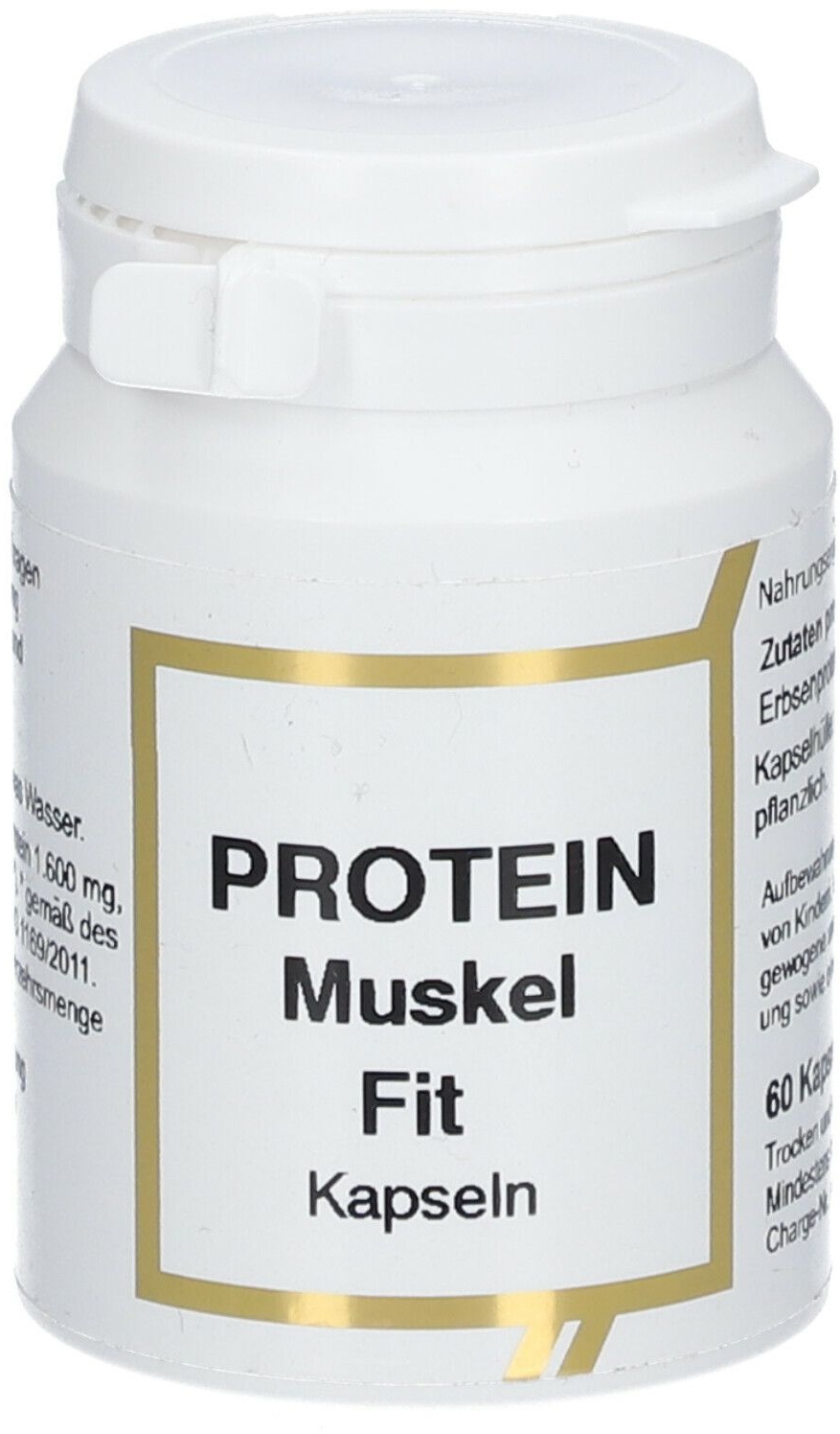 Protein Muskel Fit