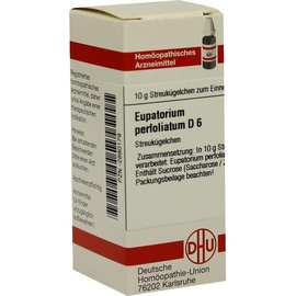 DHU-ARZNEIMITTEL EUPATORIUM Perfoliatum D 6