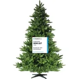 RS Trade Spessarttanne Classic grün 210 cm