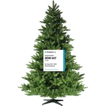 RS Trade Spessarttanne Classic grün 210 cm