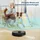 AIRROBO T20+ Saugroboter mit Wischfunktion