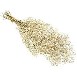 Schleierkraut, natur, 55 cm