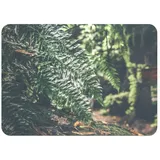 Fabulous Platzset mit Unterseite aus Kork, Farnblatt, leuchtet in der Sonne, groß, 39,5 x 28,5 cm