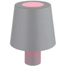 GLOBO Flaschenleuchte Grau