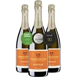 Oberrotweiler Muskateller Sekt extra trocken - 90 Punkte Falstaff 2026 - Klassische Flaschengärung, fruchtig & aromatisch mit Akazienblüten & reifen Früchten, Badischer Winzersekt (1 x 0,75l)