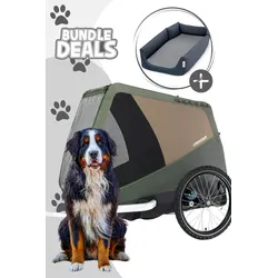 Croozer Dog Tammo Easy Start Bundle inkl. Tammo Hundebett