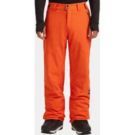 O'Neill FWC'Cruz Snow Pants flame S