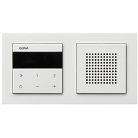 Gira 232029 UP-Radio IP + Rahmen E2