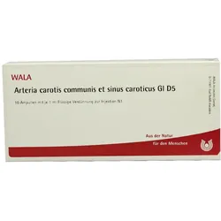 Arteria Carotis Communis et sin.carot.GL 10X1 ml