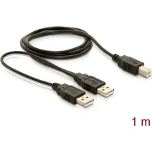 DeLock USB-B auf USB-A 1 m Schwarz