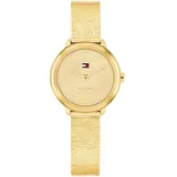 Tommy Hilfiger Demi 1782811 - gold