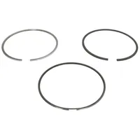 Mahle 213 RS 10013 0N0