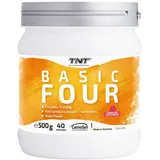 TNT Basic Four Trainingsbooster Pulver