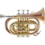 Roy Benson Bb Taschen-Trompete MOD.PT-101G lack. Goldmessing, inkl. Etui