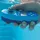 LOVIBOND® Scuba 3s Smarter elektronischer Pooltester Photometer Wasseranalyse nfc - Lovibond