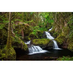 Fototapete PAPERMOON "WASSERFALL-MAGISCHER WALD BÄUME FLUSS SEE STEINE BLUMEN", bunt, B:3,00m L:2,23m, Vlies, Tapeten