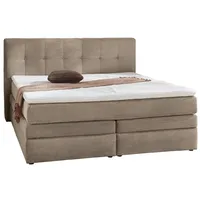 JOB Boxspringbett AMY, 180 x 200 cm braun