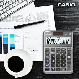 Casio MS-120FM Grau