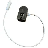 Kopp 191700084