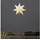 Star Trading Papierstern Tott 80 cm Weiß/Braun