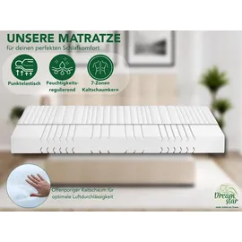 Dreamstar Vital Silber 80x200cm H4