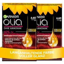 Garnier Olia 6.60 intensives rot