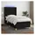 vidaXL Boxspringbett 100 x 200 cm Schwarz
