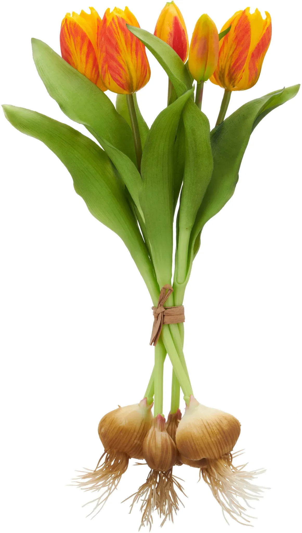 Kunsttulpe CREATIV GREEN 