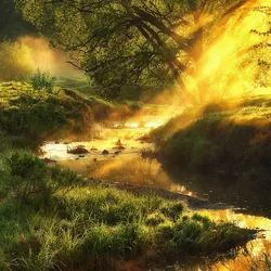 Glasbild MISTY LANDSCAPE III - bunt
