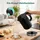 Aigostar 1,7 l Schwarz