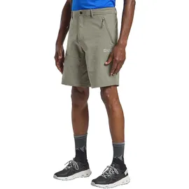 Jack Wolfskin Herren Pico Trail M Wander-Shorts, Stone, 46 EU