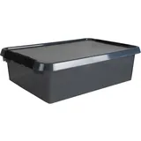 SUNWARE Aufbewahrungsbox Comfort Line 32 l 1-tlg. grau/transparent