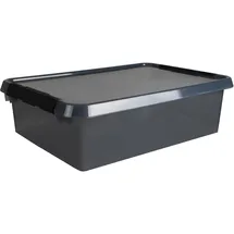 SUNWARE Aufbewahrungsbox Comfort Line 32 l 1-tlg. grau/transparent